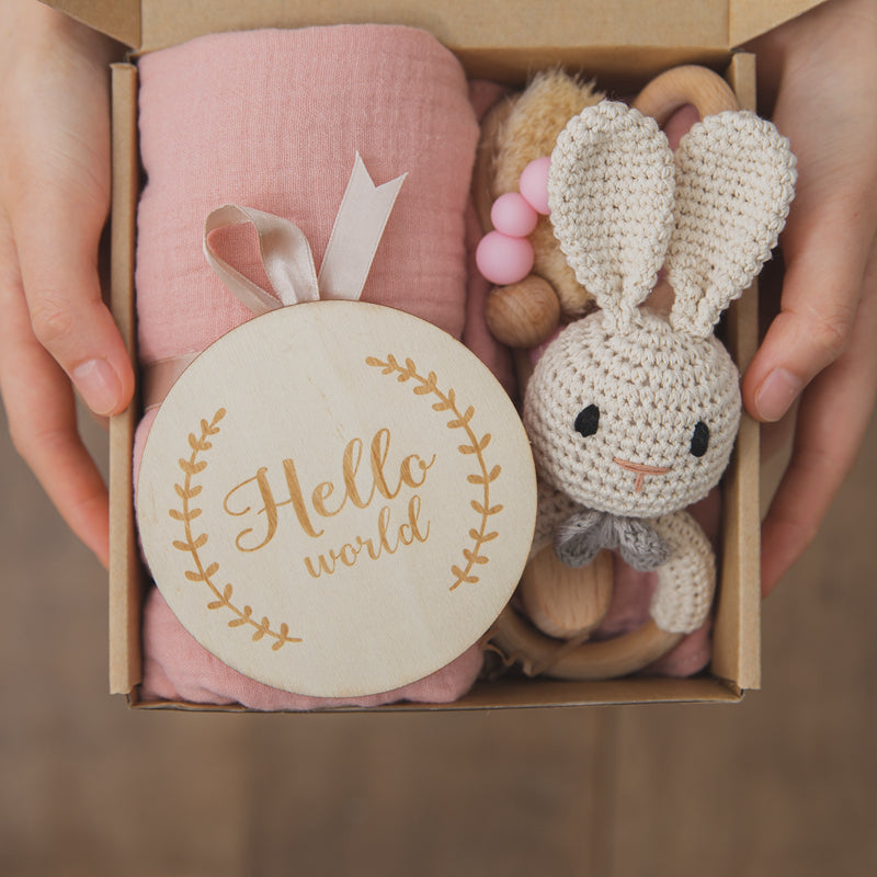 Welcome Baby Gift Set – Adorable Newborn Shower Toy Collection