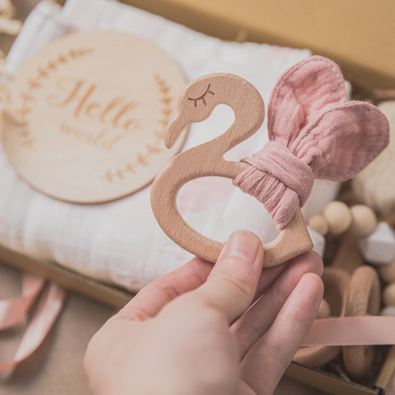 Welcome Baby Gift Set – Adorable Newborn Shower Toy Collection